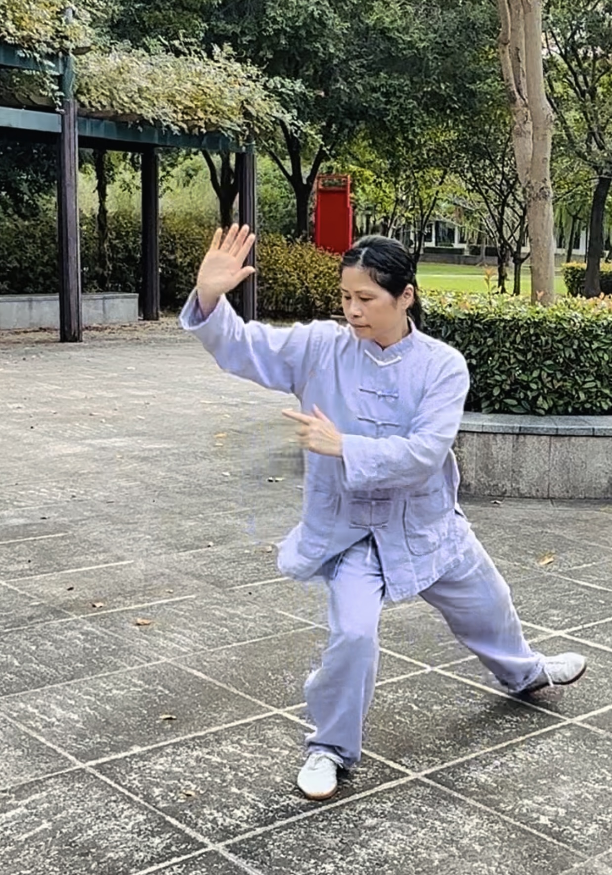 王战军太极